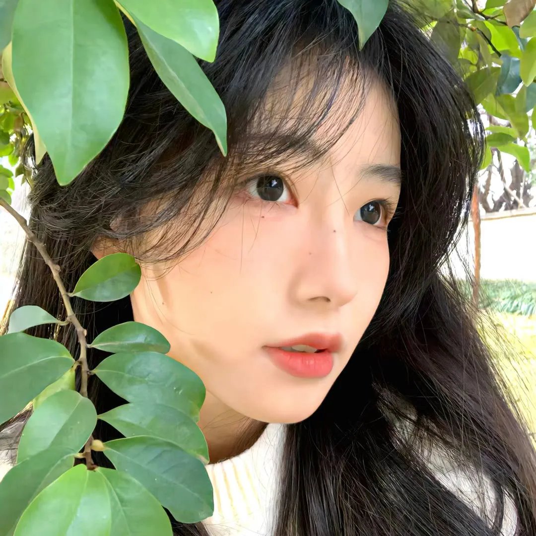 老鼠玛戈