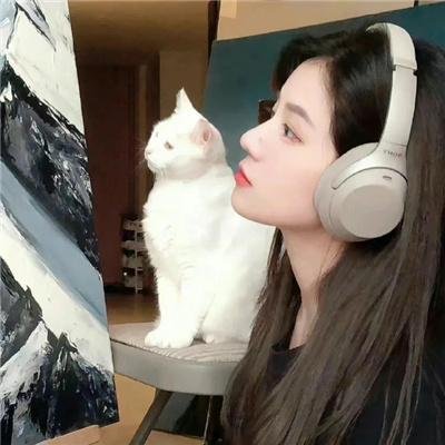 开麦拉狂想曲