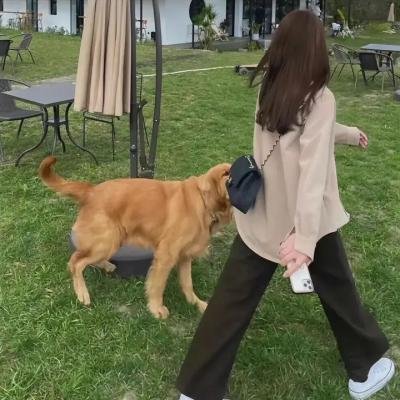 第二梦